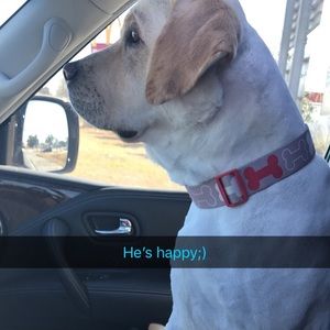 Meet your Posher, Tracy